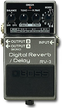 RV-3 Digital Reverb/Delay